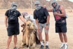 Camel Ride - Image 6