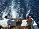 Fishing - Image 2