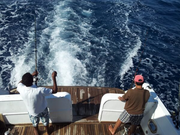 Fishing - Image 2