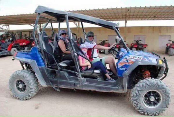Family Sand Buggy - Image 4