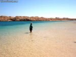 Ras Mohamed by bus - Image 8