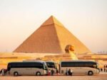Cairo by Bus – 1 Day - Image 8